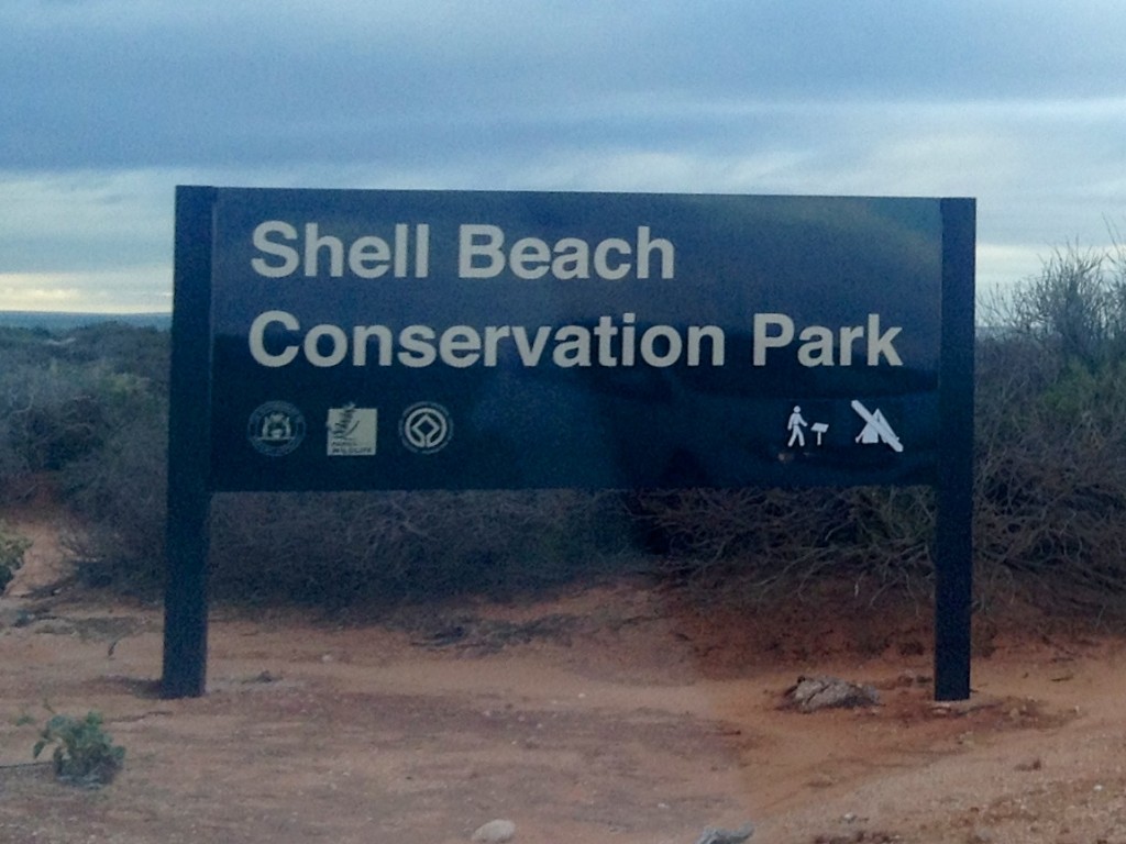 2015 WA Shell Beach 17