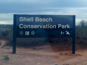 2015 WA Shell Beach 17