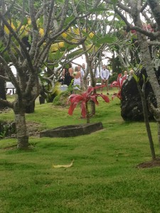 2015 10 Fiji Resort 17