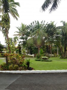 2015 10 Fiji Resort 27