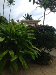 2015 10 Fiji Resort 7