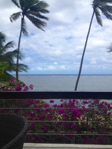 2015 10 Fiji Resort 8