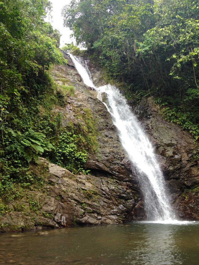 2015 10 Fiji Waterfall 20