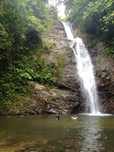 2015 10 Fiji Waterfall 23