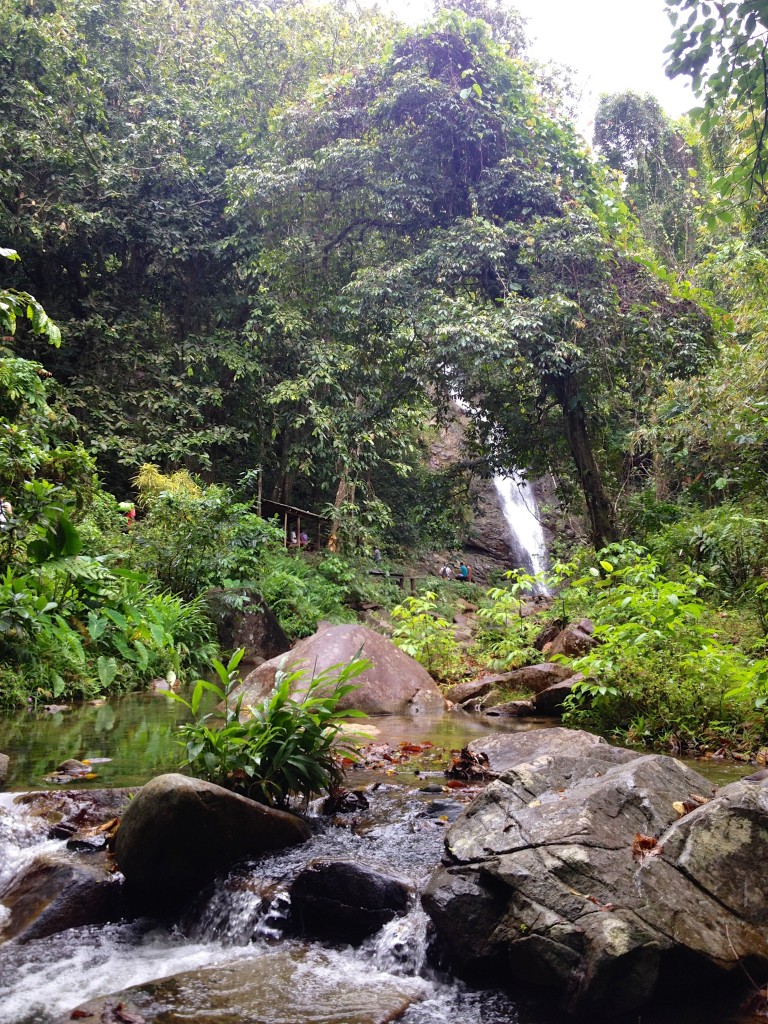 2015 10 Fiji Waterfall Hike 29