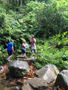2015 10 Fiji Waterfall Hike 30