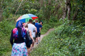 2015 10 Fiji Waterfall Hike 4