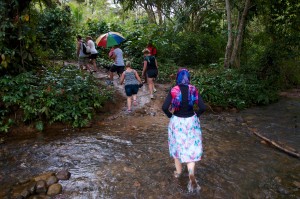 2015 10 Fiji Waterfall Hike 6
