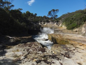 3WT 2016-03-17 Blow Hole And Fossil Bay Lookout  468